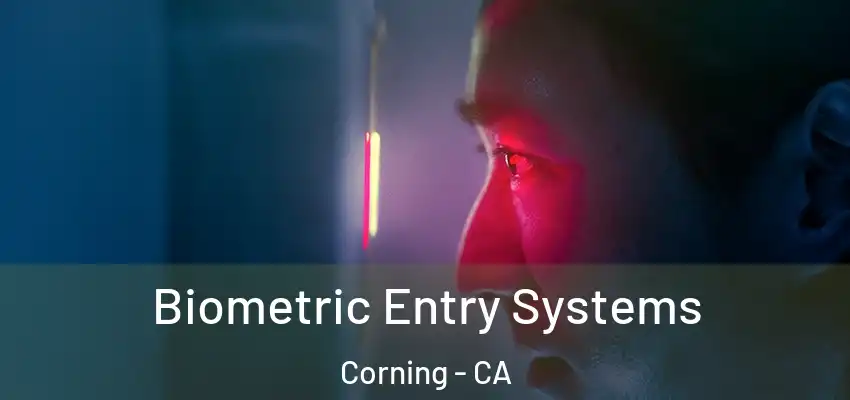  Biometric Entry Systems Corning - CA