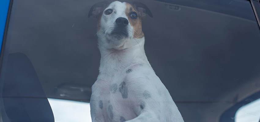 Car Lockout Solutions in Corning, California