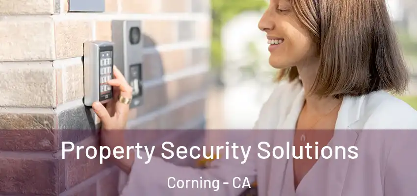  Property Security Solutions Corning - CA